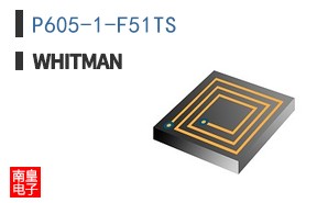 P605-1-F51TS ͼƬ